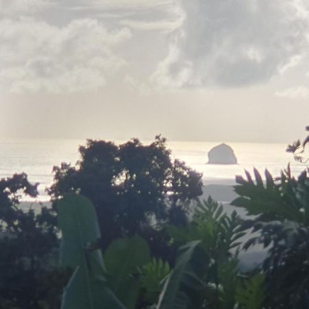 Villa Les Mahoganys Riviere-Salee Esterno foto