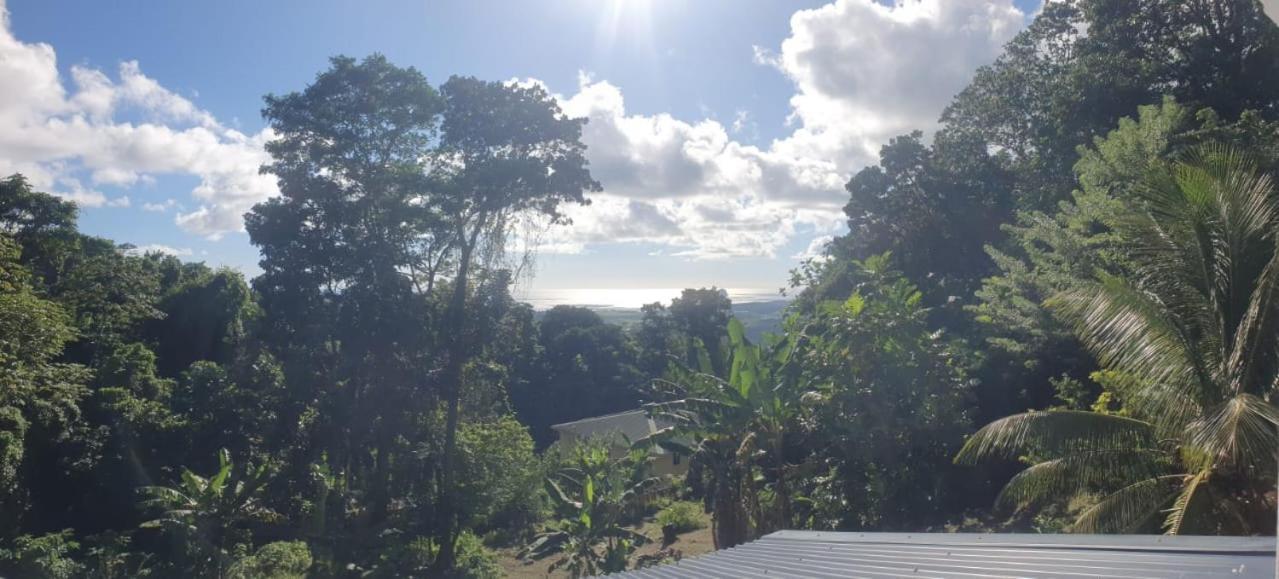 Villa Les Mahoganys Riviere-Salee Esterno foto