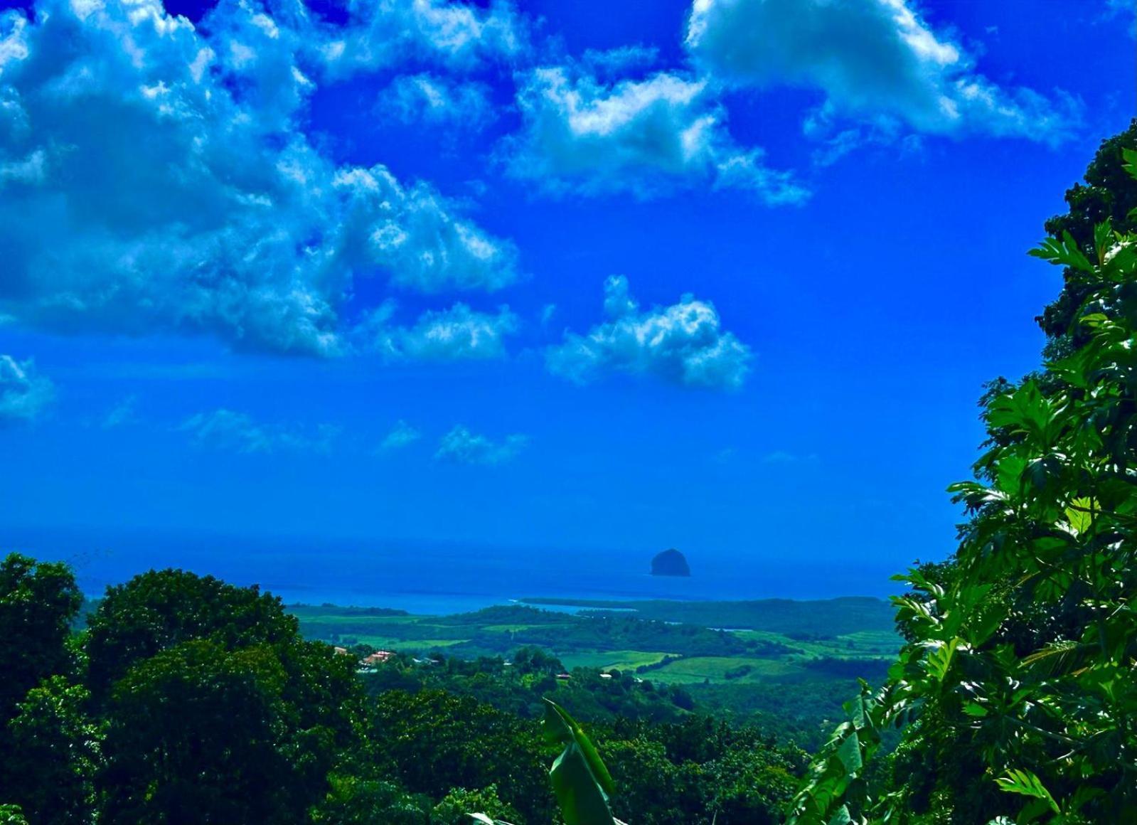 Villa Les Mahoganys Riviere-Salee Esterno foto