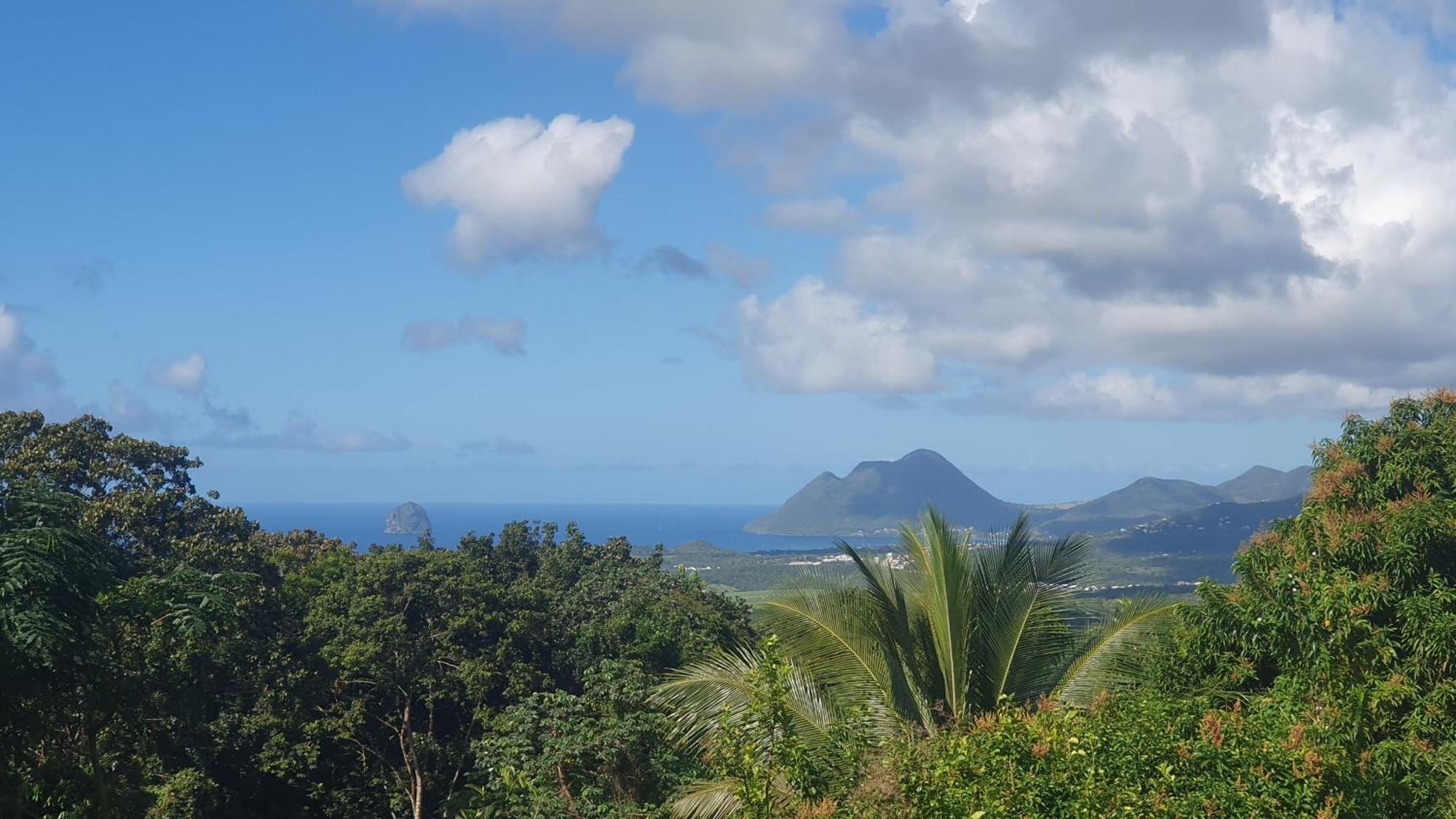 Villa Les Mahoganys Riviere-Salee Esterno foto