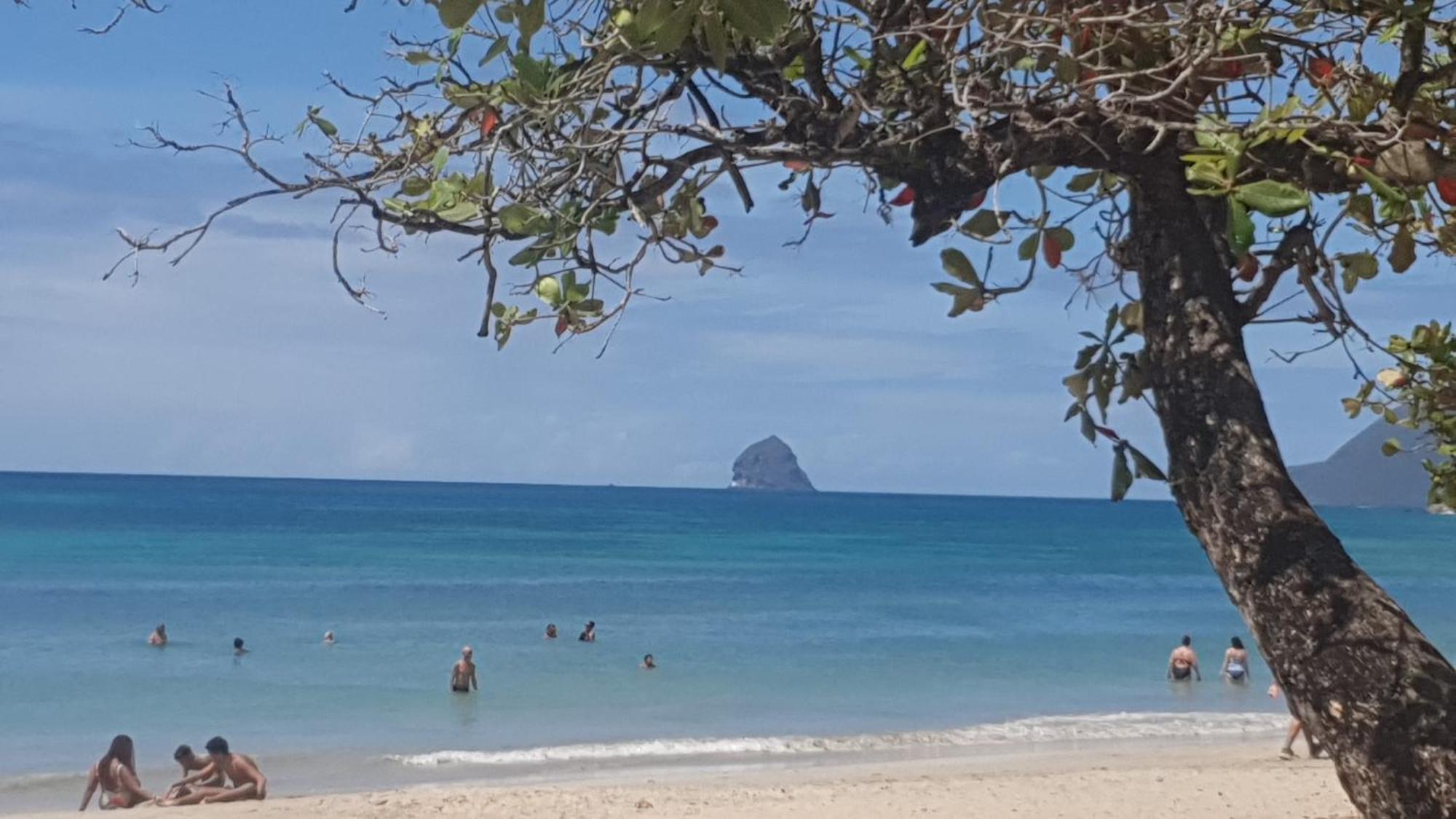 Villa Les Mahoganys Riviere-Salee Esterno foto
